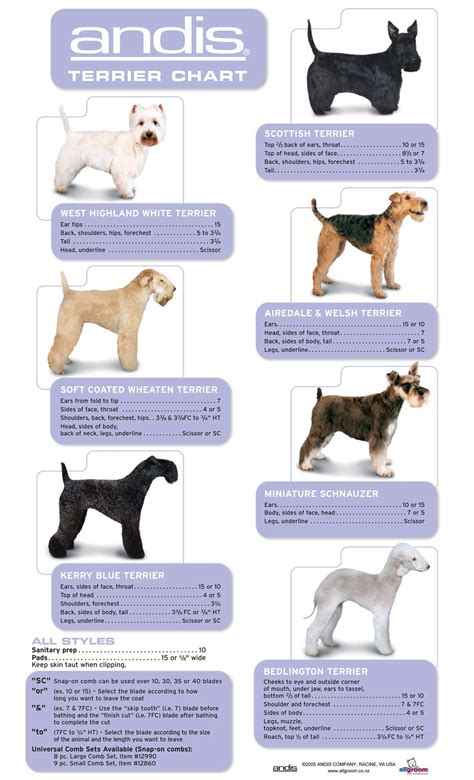 dog breed grooming guide