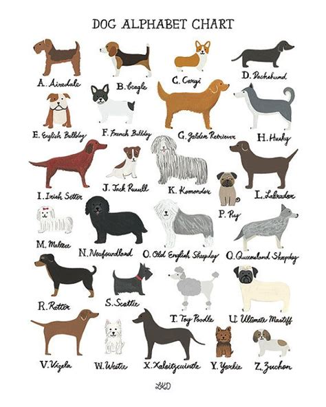 dog breeds that start with cr