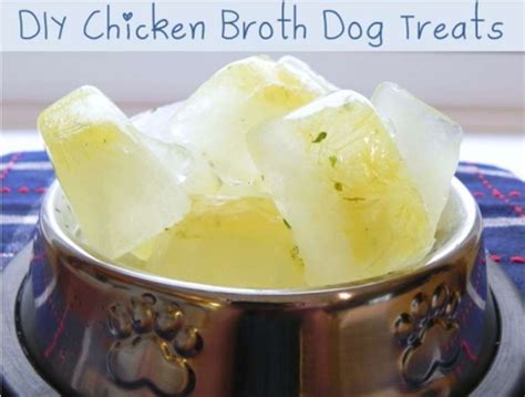 Dog Broth Ice Cubes