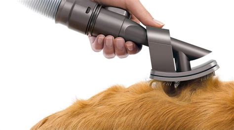 Dog Brush Vacuum Attachment