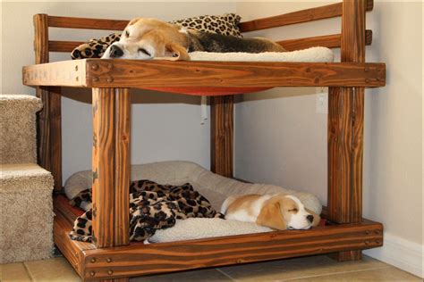 Dog Bunk Beds Diy