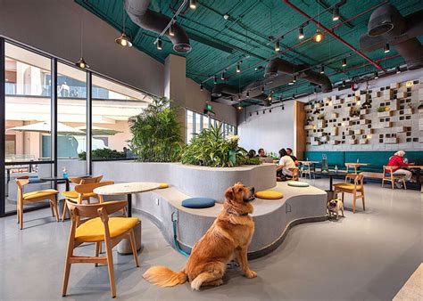 Dog Cafe Zayed