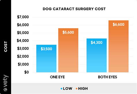 dog cataract surgery cost australia
