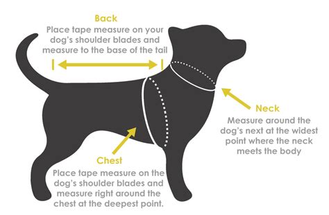 Dog Chest Circumference