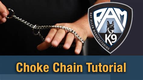 Dog Choke Chain Placement