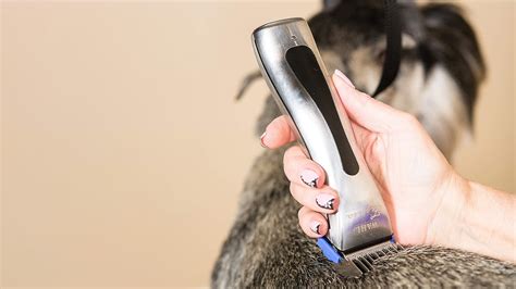 Dog Clipper Review