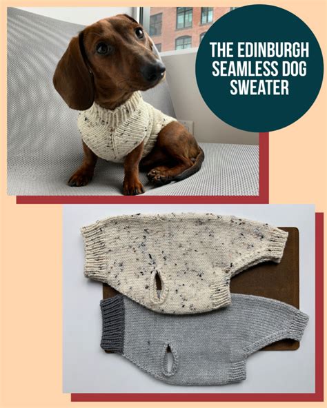 Dog Clothes Edinburgh