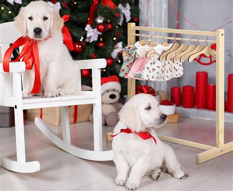 Dog clothes on shelf