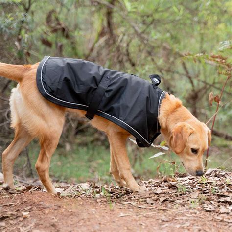 Dog Coat For Warmth