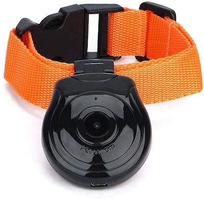 Dog Collar Camera Uk