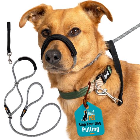 Dog Collar Designed To Stop Pulling