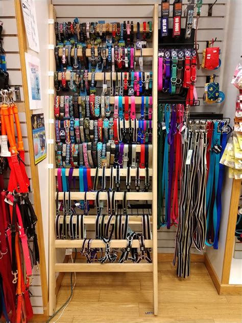 Dog Collar Displays