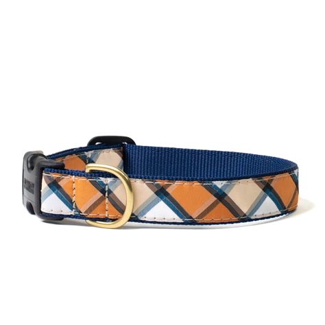 Dog Collar From Up