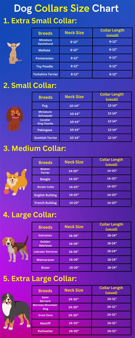 Dog Collar Size Large