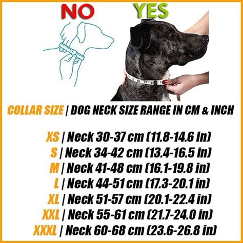 Dog Collar Sizes Cm