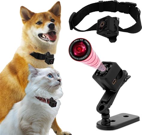 Dog Collar With A Camera