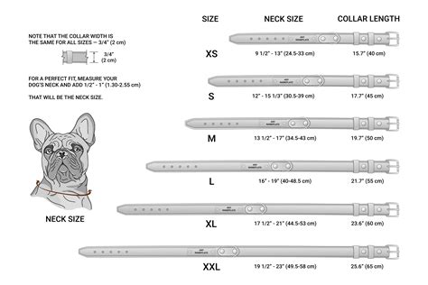 Dog Collar With Weights