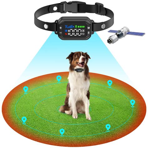Dog Collar Zone
