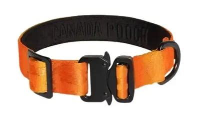 Dog Collars Canada