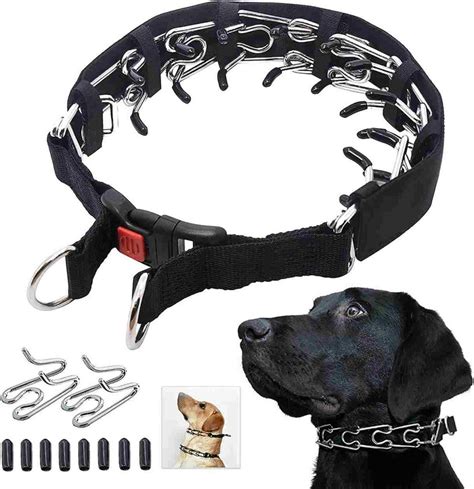 Dog Collars That Prevent Pulling