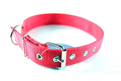 Dog Collars Za