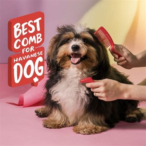 Dog Comb For Havanese
