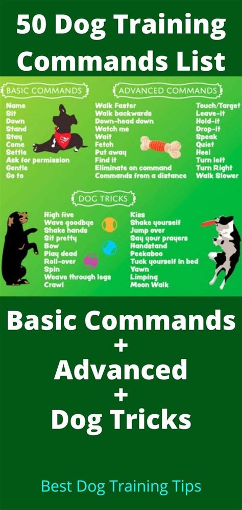 dog commands list pdf