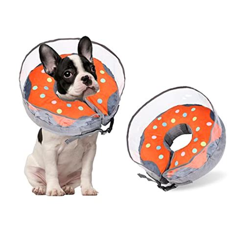 Dog Cone Vs Donut