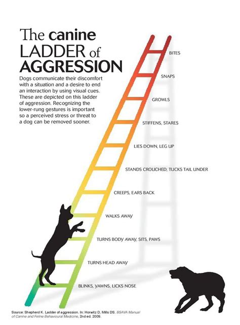 Dog Control Aggression