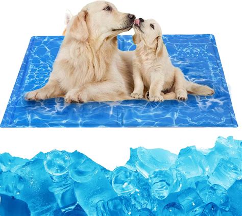 Dog Cooling Bed Canada