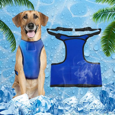 Dog Cooling Vest Work