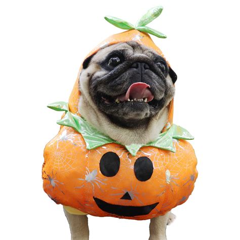 Dog Costume Pumpkin