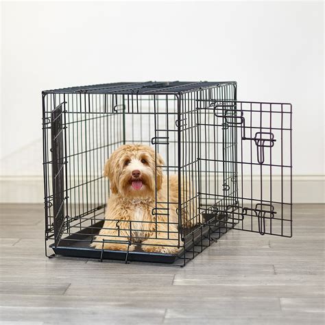 Dog Crate Medium Brisbane