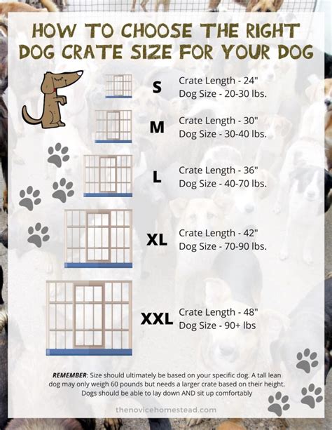 Dog Crate Size Guide Uk