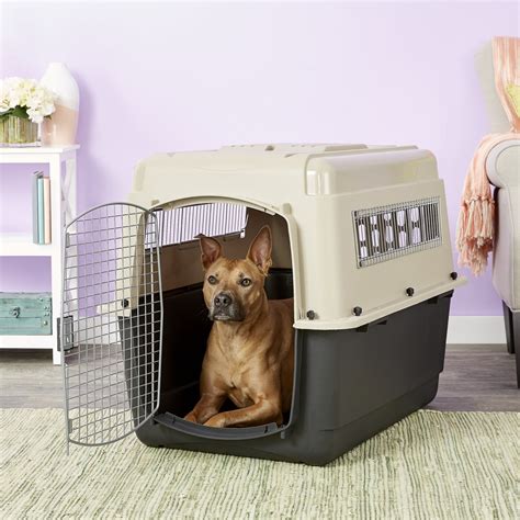 dog crate with top door