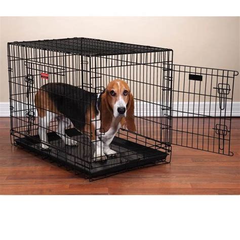Dog Crates From Target
