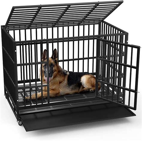 Dog Crates In Walmart