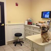 Dog crying at vet office