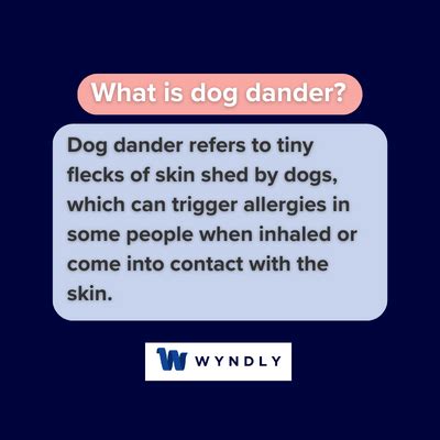 Dog Dander Definition