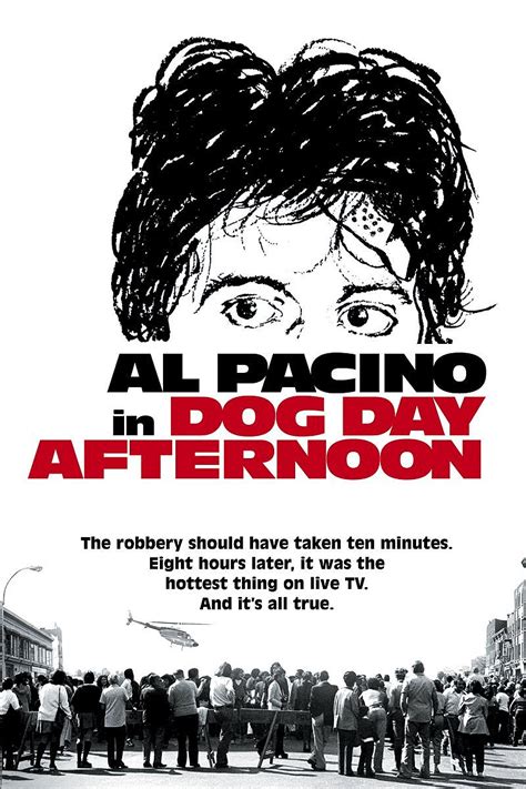 dog day afternoon 1975 plot