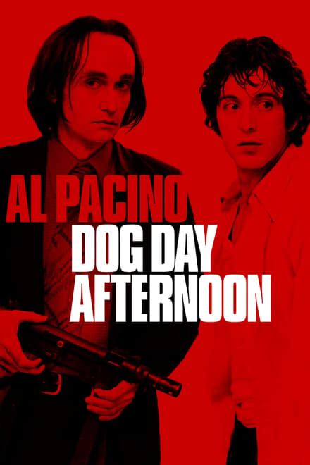 dog day afternoon full movie