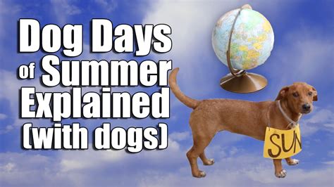 dog days of summer facts