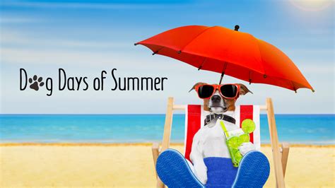 dog days of summer idiom meaning