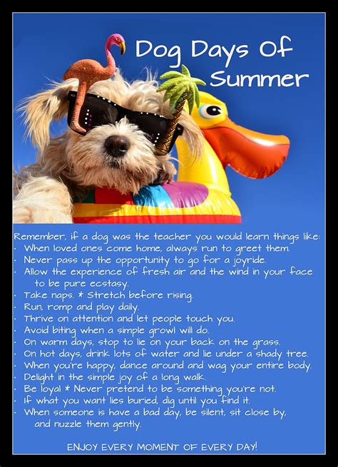 dog days of summer meaning and symbolism