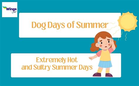 dog days of summer meaning and synonyms