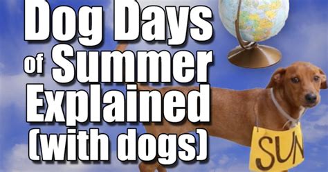 dog days of summer meaning in english