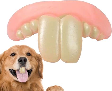 Dog Dentures Price