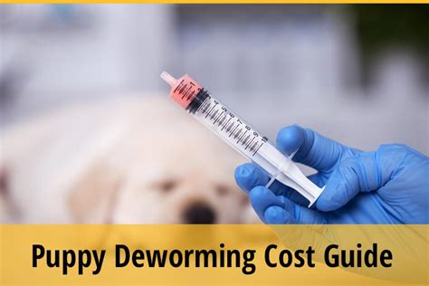 Dog Deworming Cost