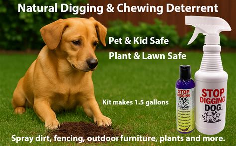 Dog Digging Deterrent Lowes