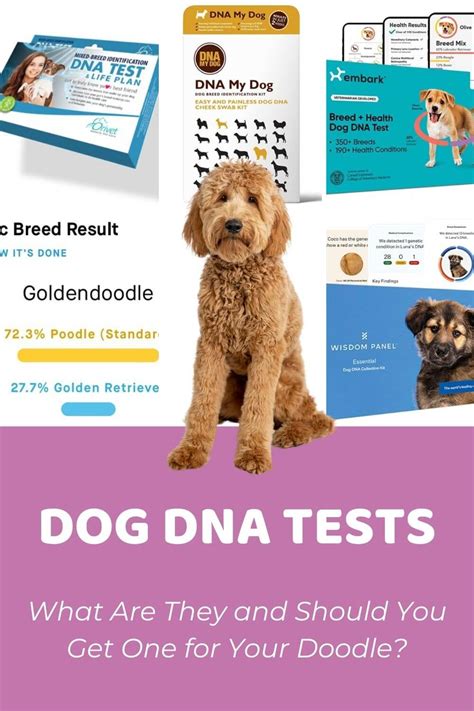 Dog Dna Report